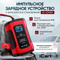 IC-CH101